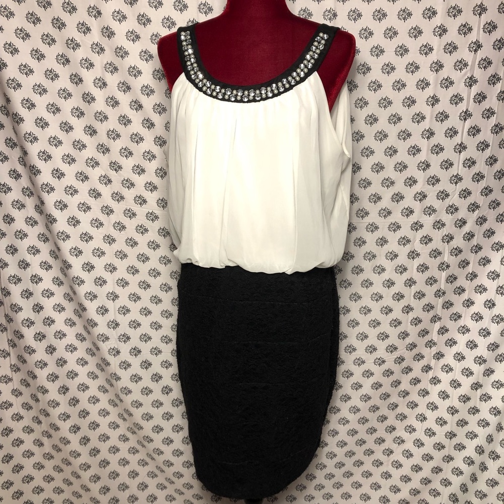 Enfocus Women Black and Ivy Dress